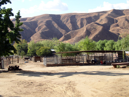 Amberwood Grove Ranch Amberwood Grove Ranch