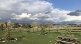 Mountain View Property Mountain View Property