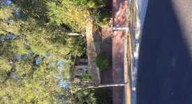Oaks Home