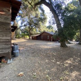 shack shack