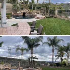 Backyard Backyard